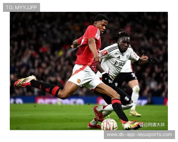 富勒姆抓住转换机会 富勒姆抓住转换机会